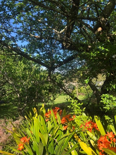 2 Bedroom Property for Sale in Knysna Central Western Cape